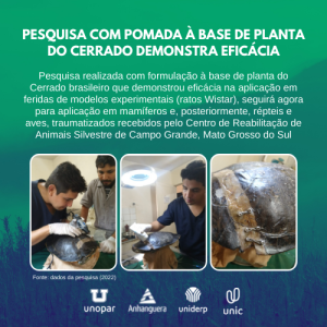 Pesquisa com pomada à base de planta do cerrado demostra eficácia