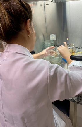 Andriele Brandão Manarin 