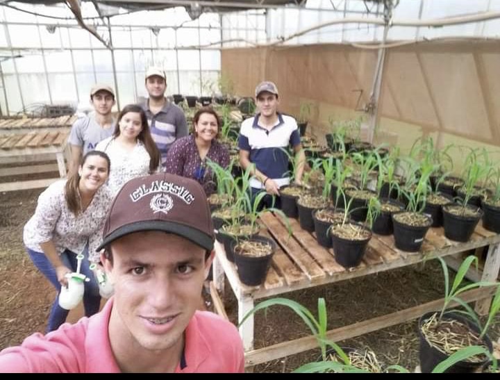 Witer Alves Barbosa Vieira 